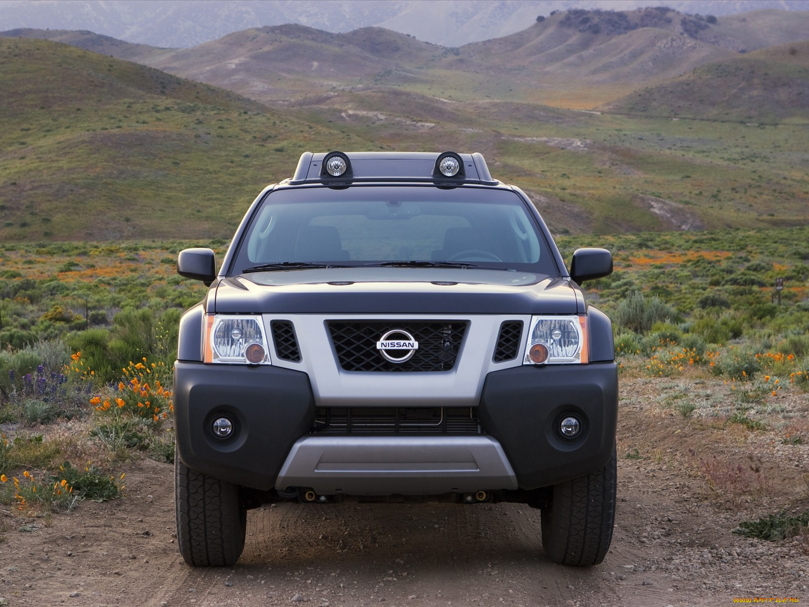 nissan, xterra, 2010, , datsun